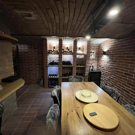 Vaclavkova 206 Apartment *