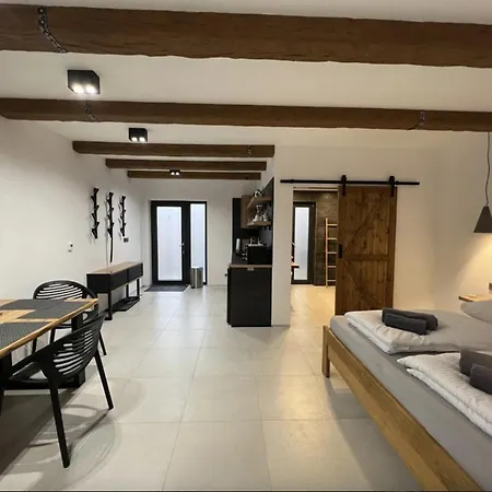 Apartment Vaclavkova 206