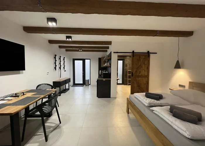 Apartament Vaclavkova 206